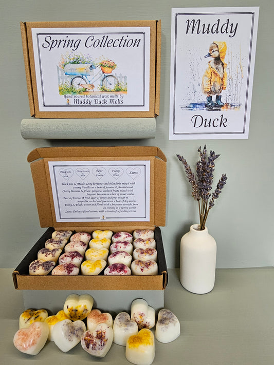 Spring Collection of 20 heart wax melts in gift box