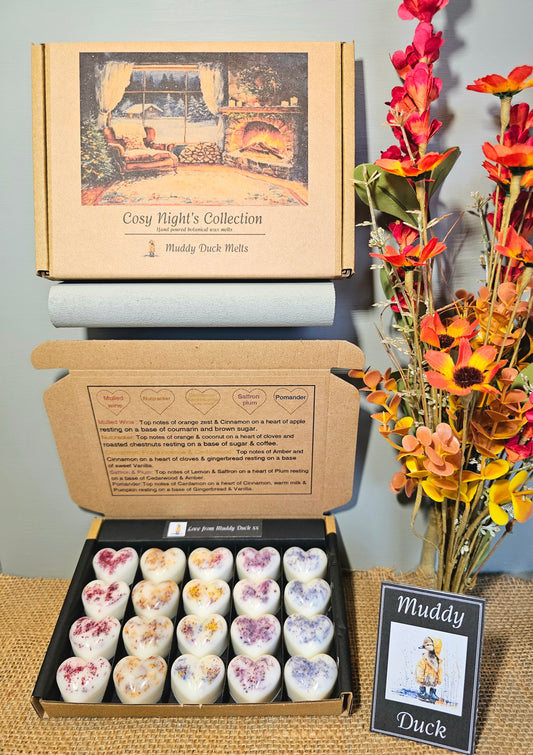Cosy Night's collection of 20 wax melts in a gift box