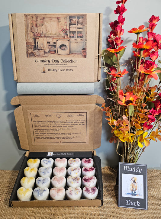 Laundry Day collection of 20 botanical heart wax melts in gift box
